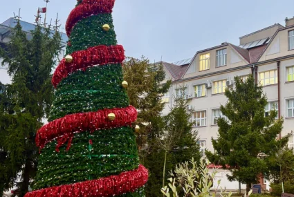 Piękna choinka na terenie szpitala