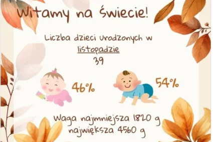 Statystyka listopadowa - urodzenia