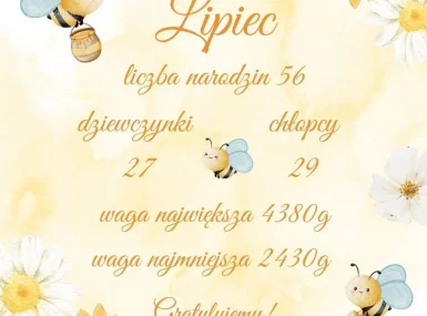 Statystyka lipiec - urodzenia