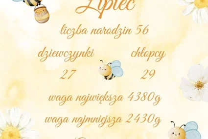 Statystyka lipiec - urodzenia