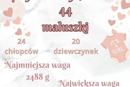 Statystyka czerwiec - urodzenia