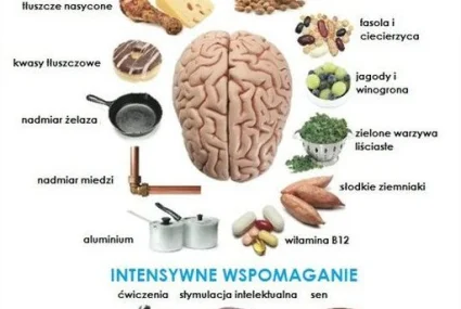 18.03. Europejski Dzień Mózgu