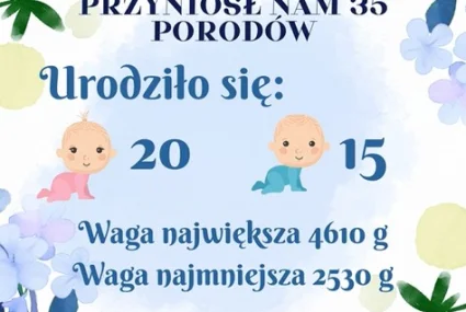 Statystyka maj - urodzenia
