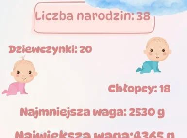Statystyka sierpień - urodzenia